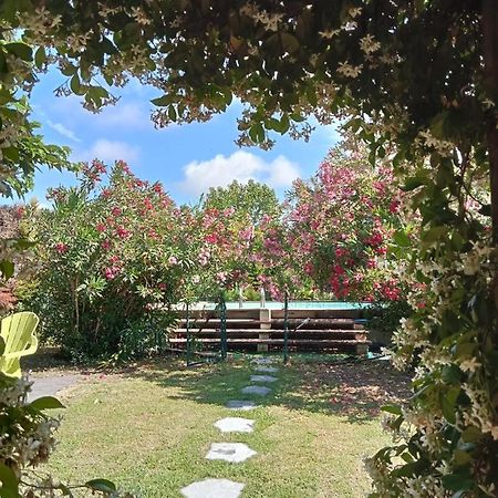 Вилла Cosy En Provence Maillane Экстерьер фото