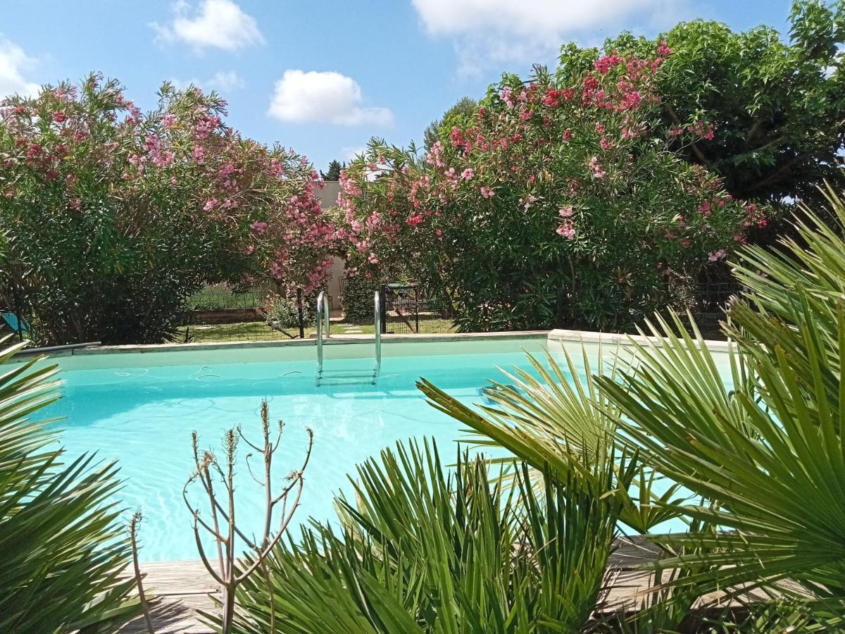 Вилла Cosy En Provence Maillane Экстерьер фото