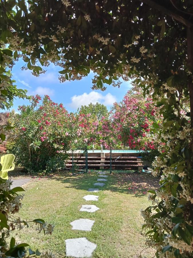 Вилла Cosy En Provence Maillane Экстерьер фото